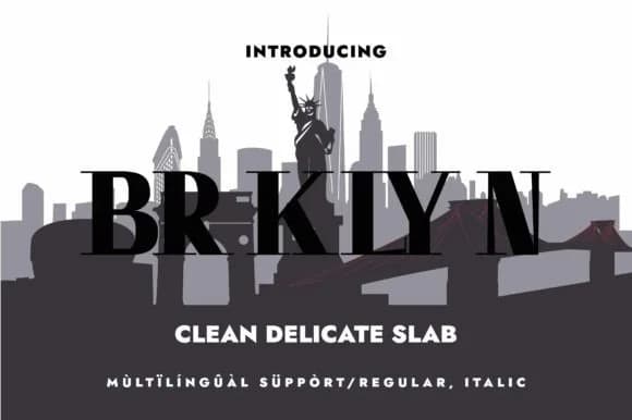 Brklyn by Minimalistartstudio — Slab Serif Font