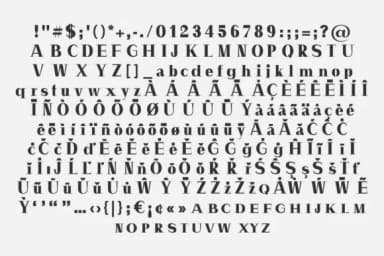 Brklyn by Minimalistartstudio — Slab Serif Font — thumbnail 3