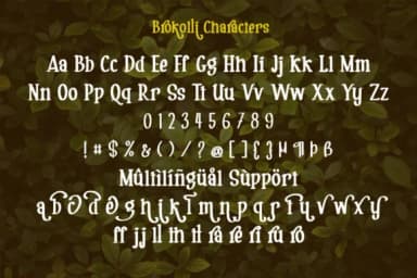 Brokolli by Supersemar Letter — Slab Serif Font — thumbnail 7