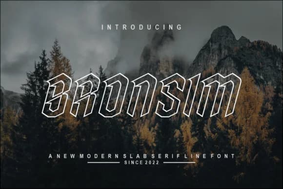 Bronsim by warehouselogo7 — Slab Serif Font