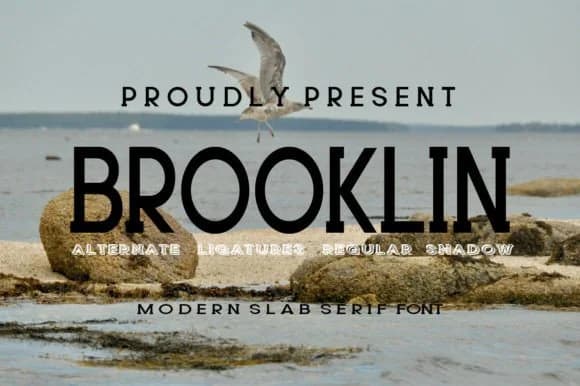 Brooklin by gunaloe12 — Slab Serif Font