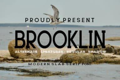 Brooklin by gunaloe12 — Slab Serif Font — thumbnail 1