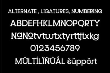 Brooklin by gunaloe12 — Slab Serif Font — thumbnail 4