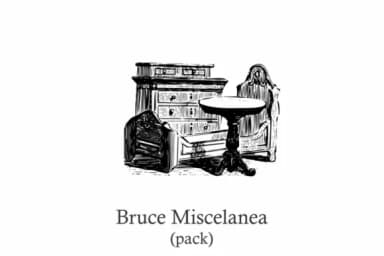 Bruce Miscelanea Pack by Intellecta Design — Dingbats Font — thumbnail 4