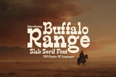 Buffalo Range by HipFonts — Slab Serif Font — thumbnail 1