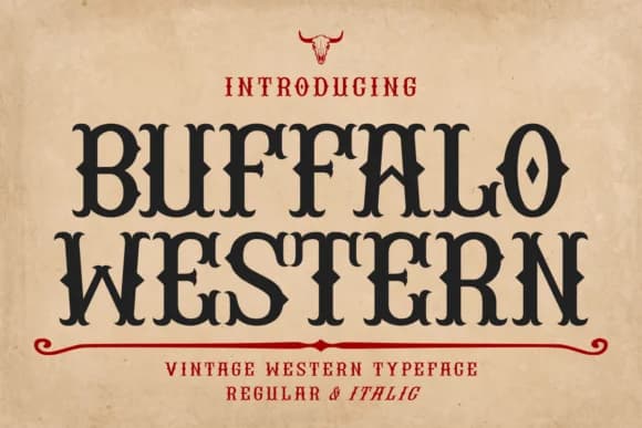Buffalo Western by Eystore — Slab Serif Font