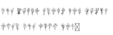 Bunch of Flowers by BK Creative Designs — Dingbats Font — thumbnail 5