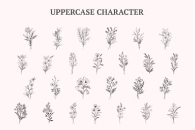 Bunga Liar by Letterayu — Dingbats Font — thumbnail 5