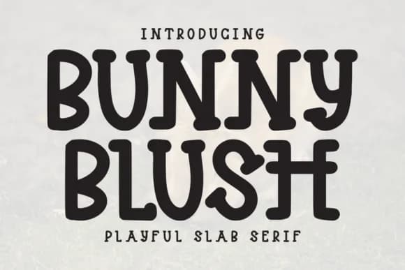 Bunny Blush by Letterayu — Slab Serif Font