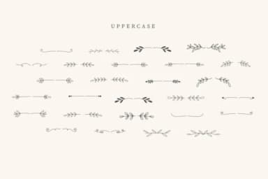 Bunny Divider by CraftedType Studio — Dingbats Font — thumbnail 2