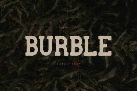 Burble by vladfedotovv — Slab Serif Font