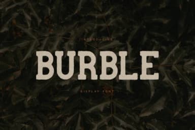 Burble by vladfedotovv — Slab Serif Font — thumbnail 1