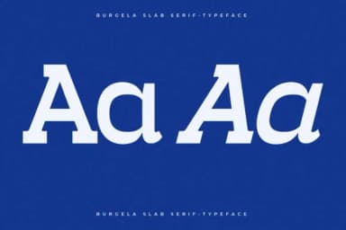 Burgela by Letterena Studios — Slab Serif Font — thumbnail 5