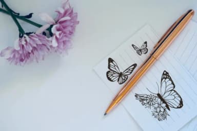 Butterfly by KinnareeART — Dingbats Font — thumbnail 6