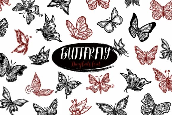 Butterfly by Suphitchaya — Dingbats Font