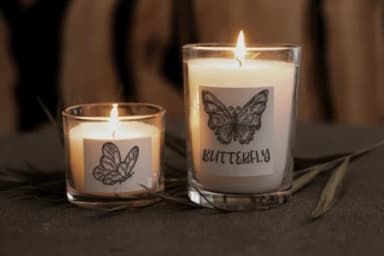 Butterfly by Suphitchaya — Dingbats Font — thumbnail 5