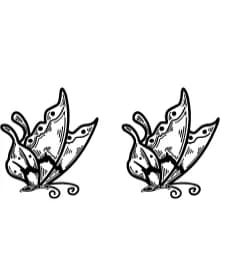 Butterfly by Suphitchaya — Dingbats Font — thumbnail 6