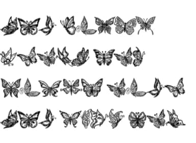 Butterfly by Suphitchaya — Dingbats Font — thumbnail 7