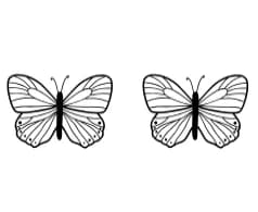 Butterfly by Nun Sukhwan — Dingbats Font — thumbnail 8