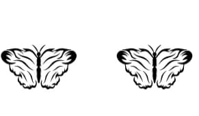 Butterfly by Letterayu — Dingbats Font — thumbnail 7