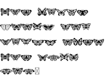 Butterfly by Letterayu — Dingbats Font — thumbnail 8