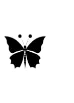 Butterfly Buddy by MOMAT THIRTYONE — Dingbats Font — thumbnail 3