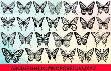 Butterfly Butterfly by MOMAT THIRTYONE — Dingbats Font — thumbnail 2