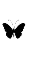 Butterfly Chic by MOMAT THIRTYONE — Dingbats Font — thumbnail 3