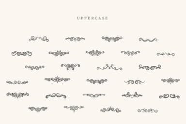 Butterfly Divider by CraftedType Studio — Dingbats Font — thumbnail 2