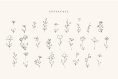 Butterfly Leaves by CraftedType Studio — Dingbats Font — thumbnail 2