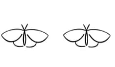 Butterfly Line Art by Ketsarin — Dingbats Font — thumbnail 8