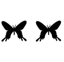 Butterfly Silhouettes by Ketsarin — Dingbats Font — thumbnail 8