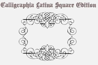 Calligraphia Latina Square Edition by Intellecta Design — Dingbats Font — thumbnail 5
