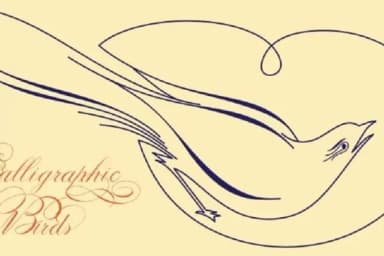 Calligraphic Birds by Intellecta Design — Dingbats Font — thumbnail 3