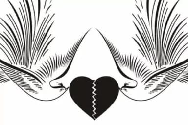 Calligraphic Birds by Intellecta Design — Dingbats Font — thumbnail 4