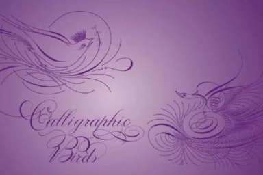 Calligraphic Birds by Intellecta Design — Dingbats Font — thumbnail 7