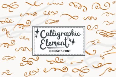 Calligraphy Element by PraewDesigns — Dingbats Font — thumbnail 1