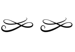 Calligraphy Swirls by Sirinart — Dingbats Font — thumbnail 8