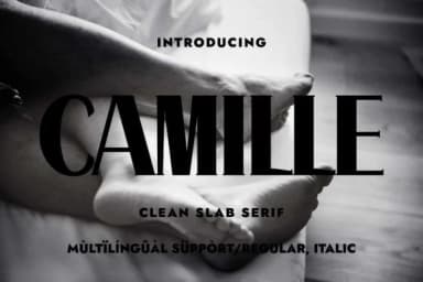 Camille by Minimalistartstudio — Slab Serif Font — thumbnail 1