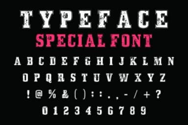 Campus Stamp by Dreamspace.studio — Slab Serif Font — thumbnail 4