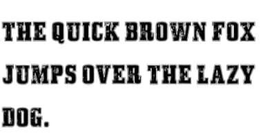 Campus Stamp by Dreamspace.studio — Slab Serif Font — thumbnail 6