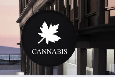 Cannada Day by Nongyao — Dingbats Font — thumbnail 7