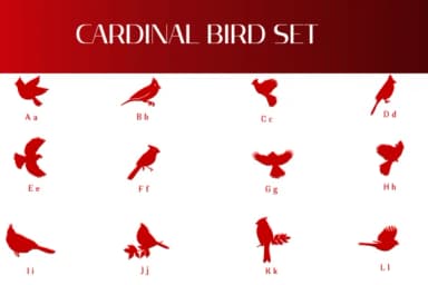 Cardinal Bird Set by Heartcraft Atelier — Dingbats Font — thumbnail 2