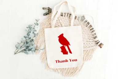 Cardinal Bird Set by Heartcraft Atelier — Dingbats Font — thumbnail 7