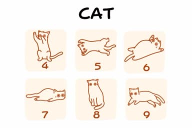 Cat by Suphitchaya — Dingbats Font — thumbnail 4