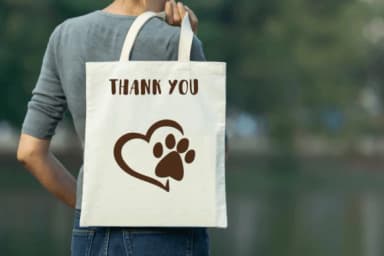 Cat Bundle by Nongyao — Dingbats Font — thumbnail 6