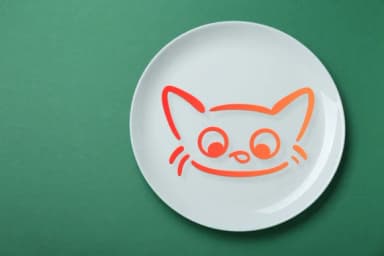 Cat Face Feelings by Chonada — Dingbats Font — thumbnail 7