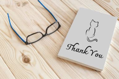 Cat Line Art by Ketsarin — Dingbats Font — thumbnail 7