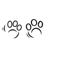 Cat Paws Cool by MOMAT THIRTYONE — Dingbats Font — thumbnail 3