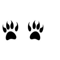 Cat Paws Love by MOMAT THIRTYONE — Dingbats Font — thumbnail 3